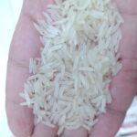برنج هندی ۱۱۲۱ دانه بلند رجب