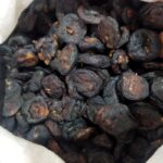 انجیر سیاه نرم و تازه محصول امسال