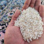فروش برنج هاشمی درجه یک دره رود قره داغ