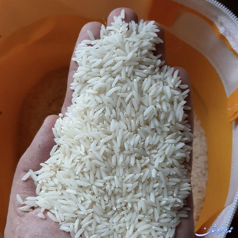 برنج طارم هاشمی اعلاء فریدونکنار