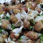 حلزون آلبینو