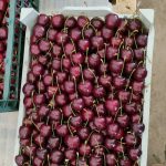 سوپر میوههای فصلی