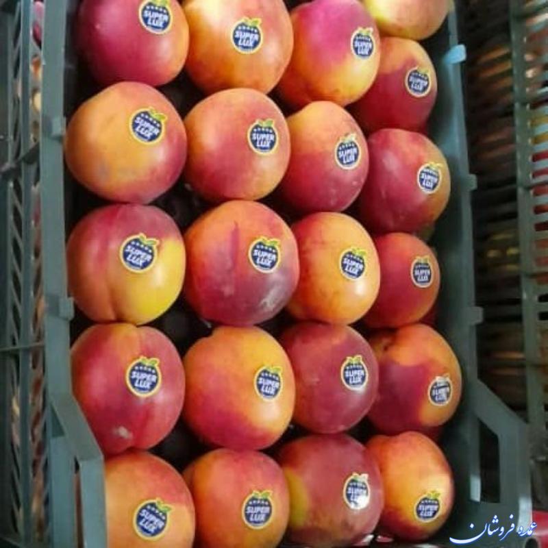 سوپر میوه‌های فصلی