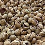 انواع انجیر خشک استهبان