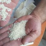 برنج هاشمی معطر اعلاء تالش