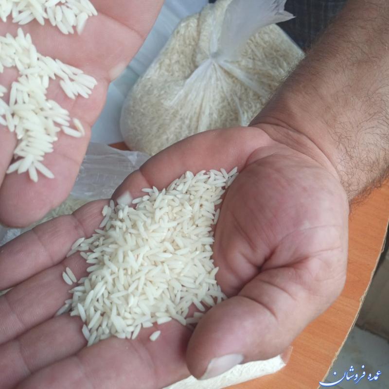 برنج هاشمی معطر اعلاء تالش