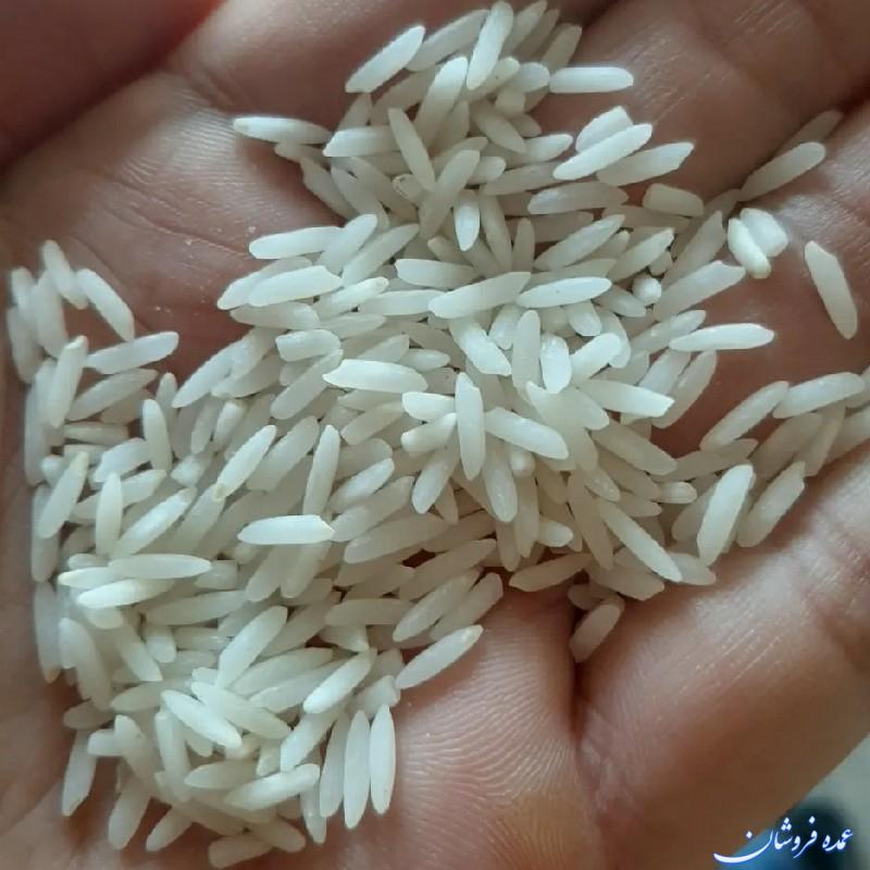برنج ایرانی محصول شالیزارهای مازندران