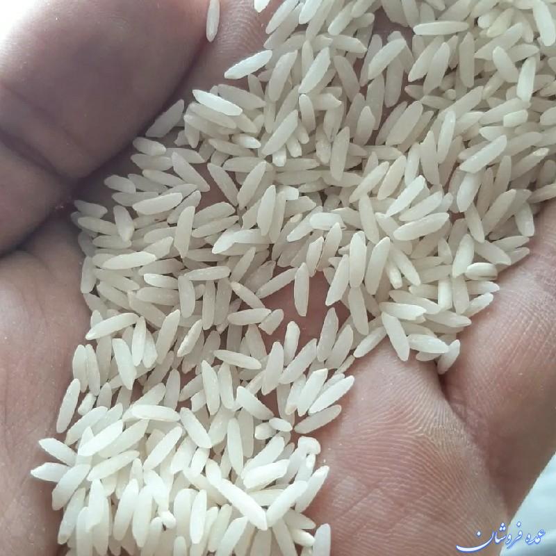 برنج ایرانی محصول شالیزارهای مازندران