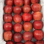 سیب سفید و قرمز منطقه جابان دماوند