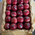 فروش عمده سیب صادراتی