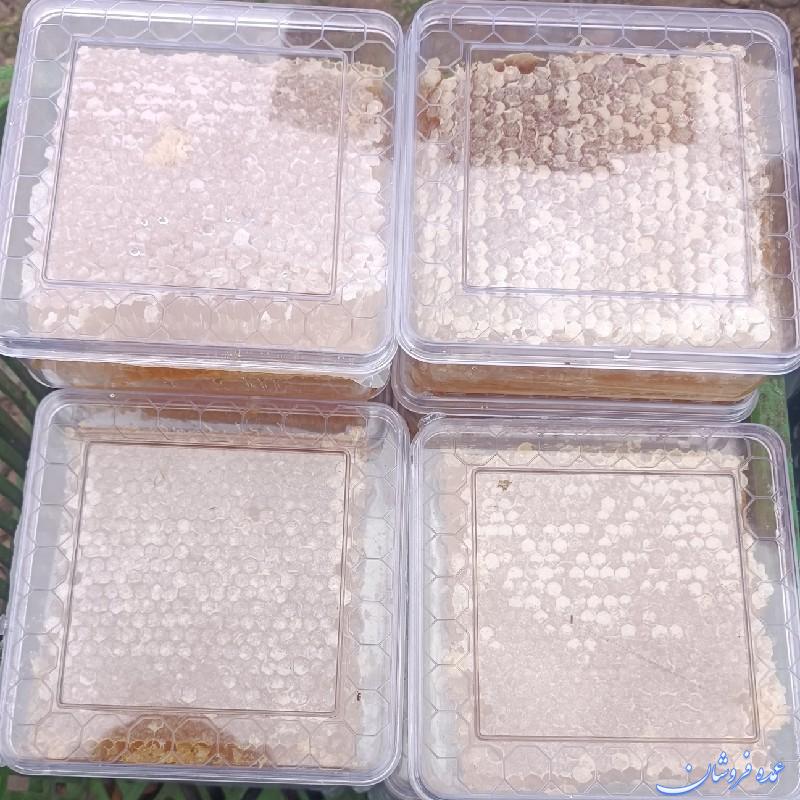 فروش عسل خرده و عمده از تولید به مصرف باانواع بسته بندی