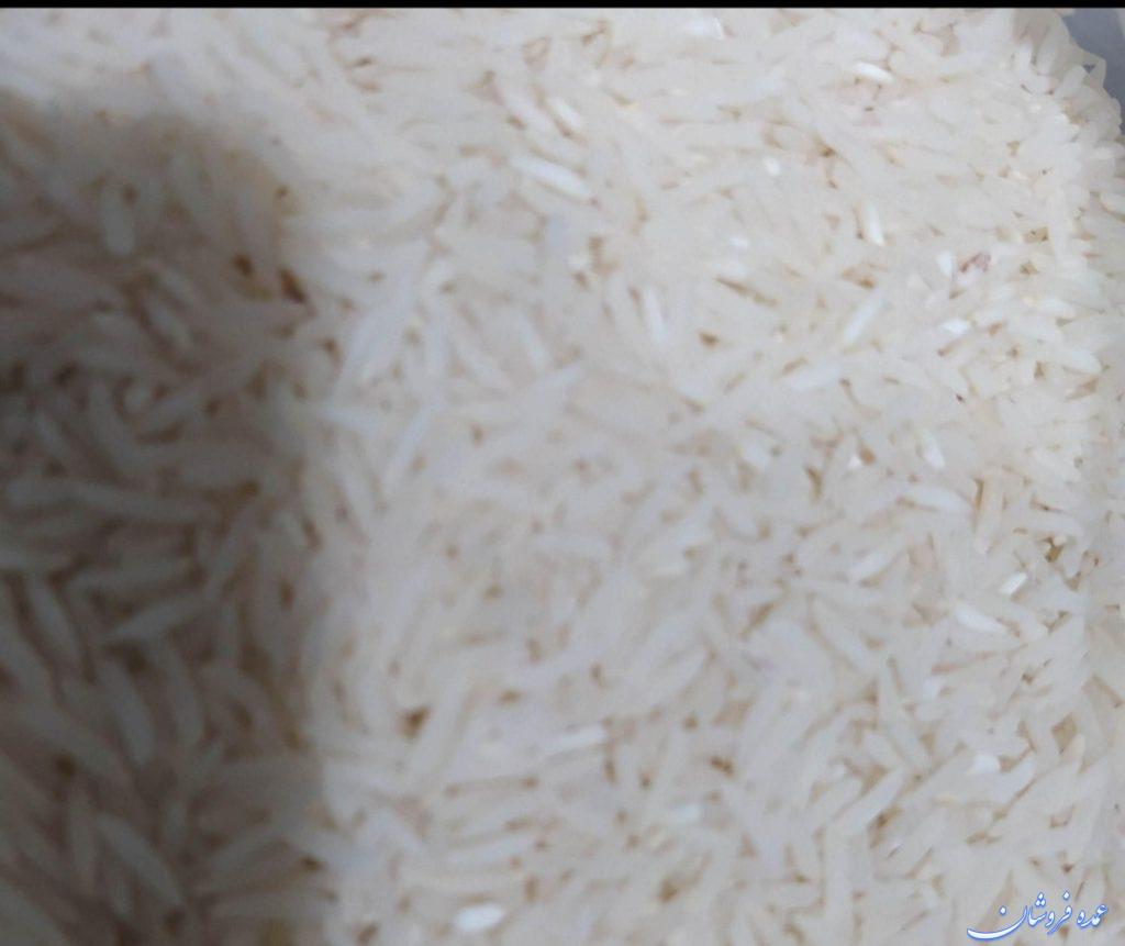 برنج فجر حیدری