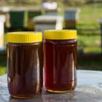 تولید و پخش عسل طبیعی