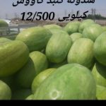 فروش انواع هندوانه درجه یک