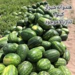 فروش میوه و خشکبار از باغدار با قیمت بسیار عالی