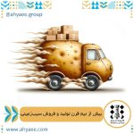 پیش فروش بدون واسطه سیب زمینی بذری