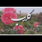 گلاب درجه یک و دو آتیشه اعلا و عرقیات