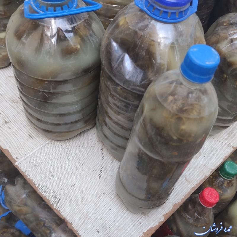 خیار شور سراب