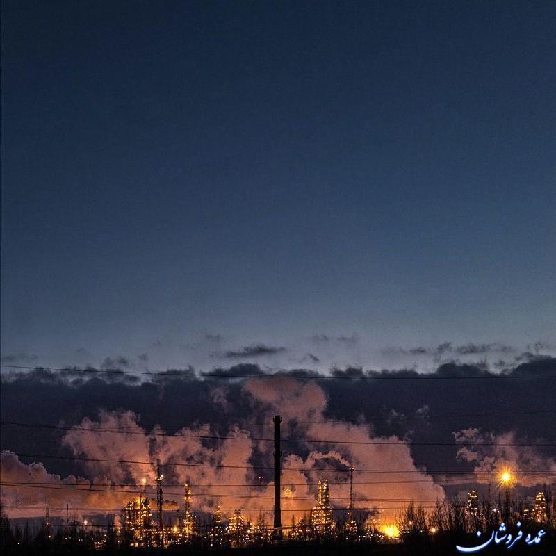 نفت بی بو