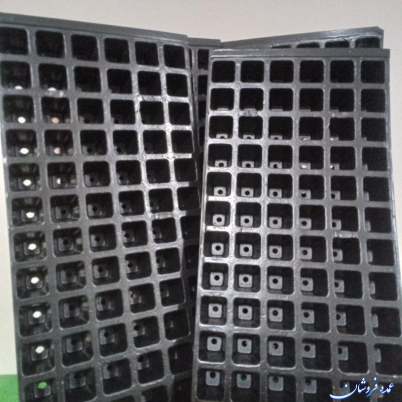 سینی نشا ۷۲ حفره
