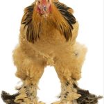 درآمد آنلاین در خدمات اینترنتی مناسب همه شهرها
