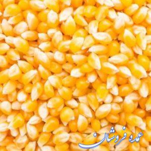 ذرت برزیلی