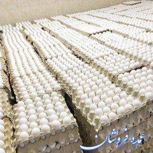 تخم مرغ روز