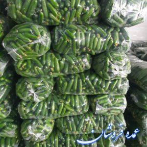 عمده خیار صادراتی