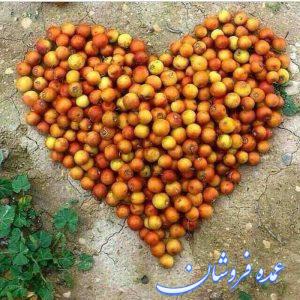 آرد کنار تازه