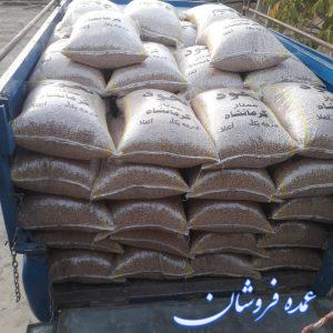 نخود ممتاز