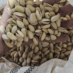 پسته احمدآقایی 28-30