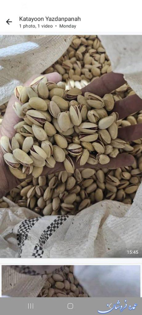 پسته احمدآقایی 28-30
