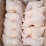 پخش مرغ گرم و قطعه بندی مرغ ران سایز شنسل