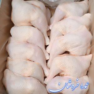 پخش مرغ گرم و قطعه بندی مرغ ران سایز شنسل