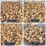 فروش عمده انجیر خشک