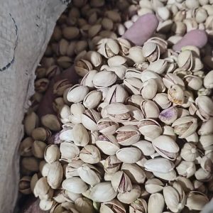 پسته فندقی انس 28-30