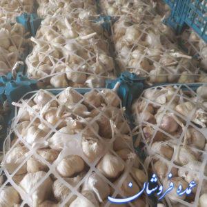 سیر درجه یک همدان