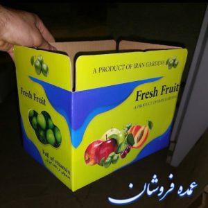 کارتن گوجه سبز