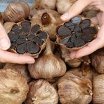 فروش سیر عمده