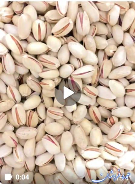 پسته اکبری انس 22-24