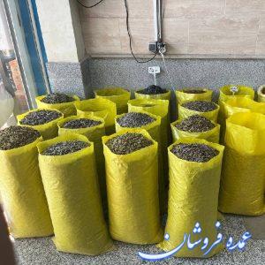 پخش تخمه آفتابگردان و کدو ایرانی و خارجی