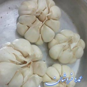 فروش عمده سیر تازه