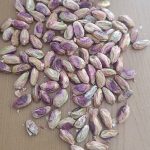 توزیع پسته به صورت عمده به سراسر کشور