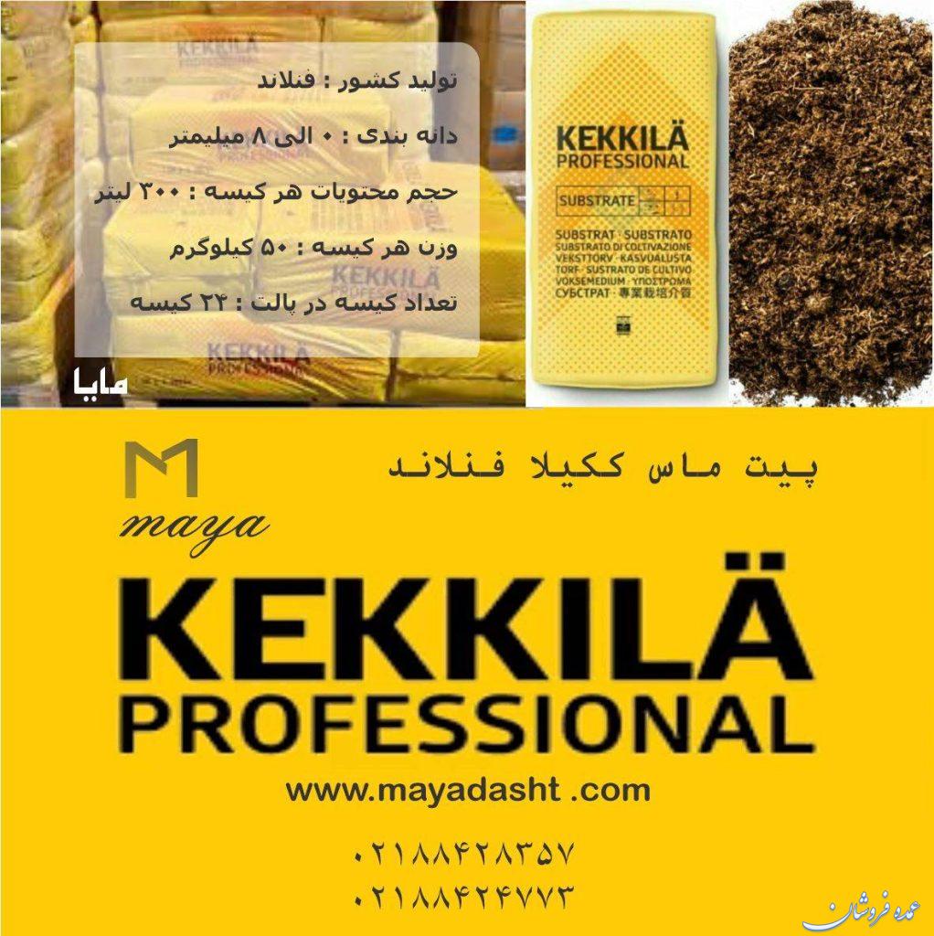 فروش پیت ماس ککیلا