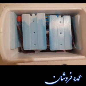 تولید یخ خشک سفری مدل کتابی