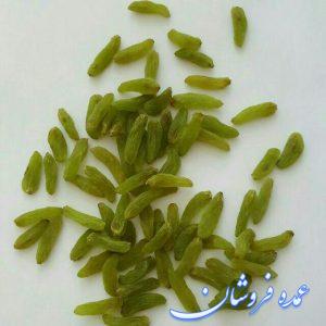 کشمش سبز قلمی کاشمر