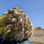 فروش پشم گوسفند لحاف دوشک به سراسر ایران