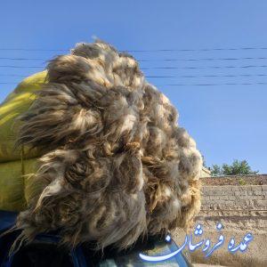 فروش پشم گوسفند لحاف دوشک به سراسر ایران
