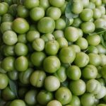 گوجه سبز ارگانیک