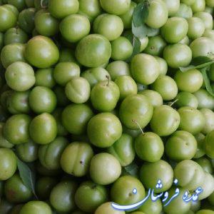 گوجه سبز ارگانیک
